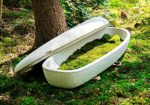 Tokyo Design Awards Entry - The World’s First Mushroom Coffin 
