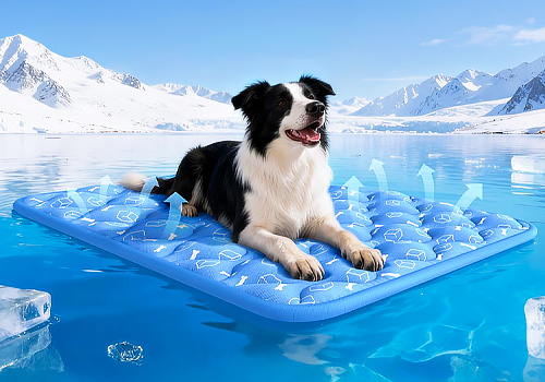 Tokyo Design Awards Winner - Rywell Arc-Chill Thermal-Adaptive Pet Cooling Mat by Miles Wang