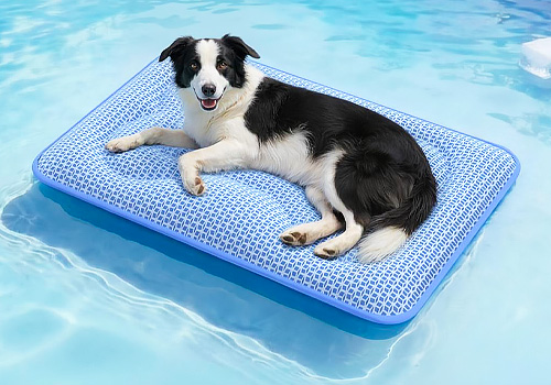 Tokyo Design Awards Winner - Rywell Arc-Chill PCM Apex-Tech Pet Cooling Mat by Miles Wang
