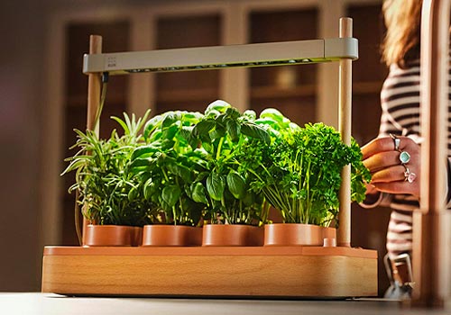 Tokyo Design Awards Winner - Auk Mini 2 by Auk